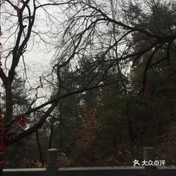 电话 地址 价格 营业时间 后宅街道景点团购 义乌周边游 