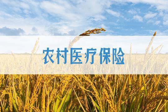 农村合补充保险是什么意思(农村合作补充保险的好处)