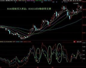 股票里有个bias怎样看