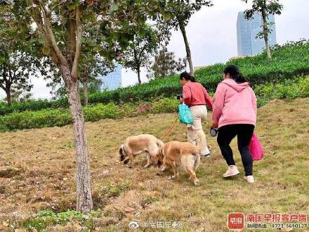 逐步取消活禽交易(四川省活禽交易管理办法) 