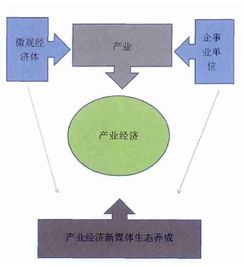 新媒体发展的毕业论文