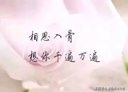 走着走着就散了的句子,句句心酸无奈,哪一句最接近你的心事