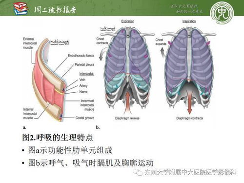 肋骨骨折,诊断起来也没那么简单