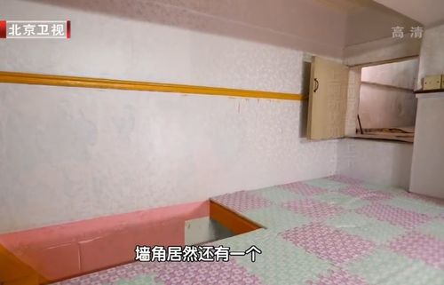 男女合租奇葩隔间,上厕所犹如下井,怒花十万改造出租屋