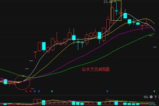 山水文化股票怎样样