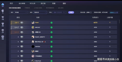 CSGO含金量极高的排名 CNCSGO完美战力