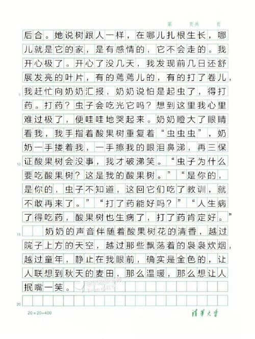 童年趣事作文600字(写童年趣事的作文600字)