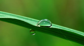 秋雨绵绵，诗意无边，秋天带有雨的词语有哪些