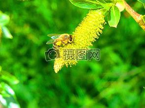 撒花背景素材 撒花高清背景下载 千库网 