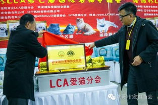 洛派杯LCA第七届世界名猫争霸赛暨欧亚国际爱猫协会联盟成立仪式 