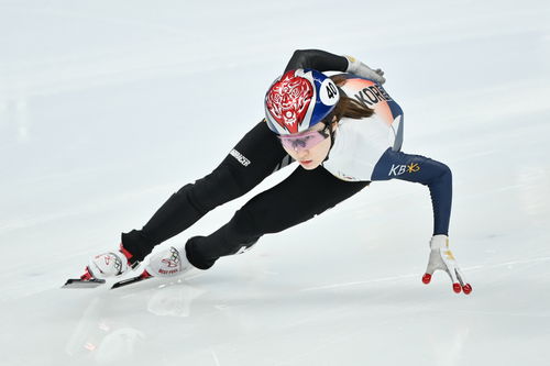 韩国代表团冬奥前瞻 目标保守 短道 王牌 遇挑战