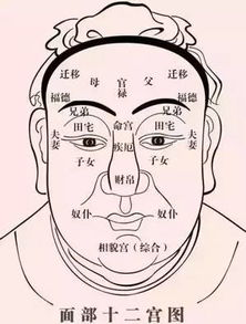 古代观相识人术