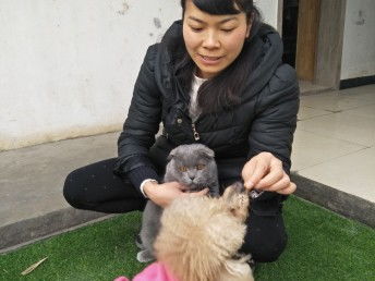 图 春节猫猫狗狗寄养20一天包接送 成都宠物服务 