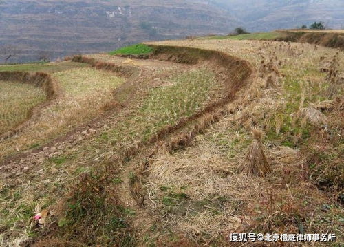 农村房屋转变土地性质,需要村民集体签字吗