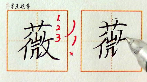 名字总是写不好 这个字写好要掌握这几点 