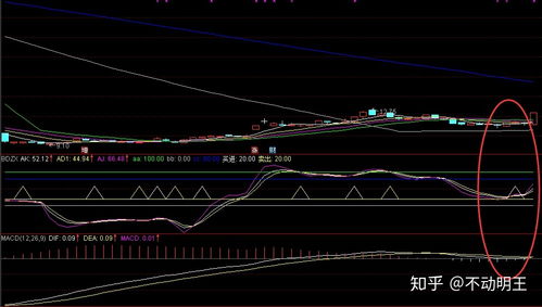 谁能教我如何看股票指标