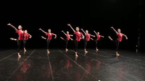 展示我们的精彩 北京舞蹈学院中国古典舞15级表演专业基本功结业课展示 