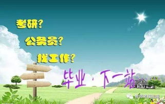 大学毕业,考研,考公务员,考教师编制,哪个更好