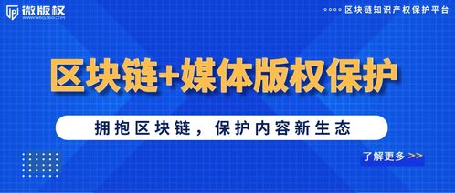 源文件查重与版权保护：如何平衡创意与法律