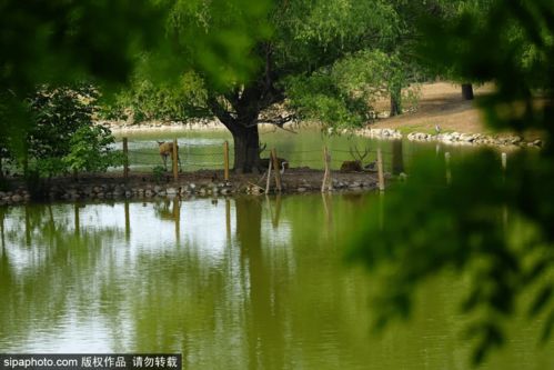 北京又一个油画里走出来的湿地公园,无须预约,免费停车,还能走到湖中赏水天一线