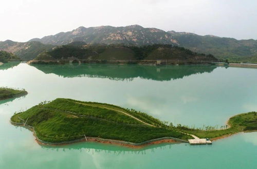 行为艺术般的覆绿项目 阳江核电将水库湖心岛打造成 海豚 景观
