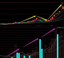 股票成交量里有100S或100B或100M,它们分别表示什么?