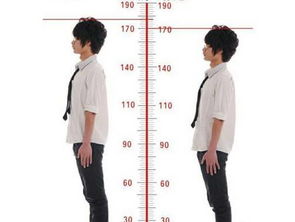 所有人的脊椎矫正后,平均身高都可增高 