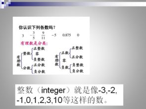 什么叫整数的定义