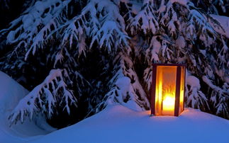 雪夜图片唯美 信息阅读欣赏 信息村 K0w0m Com