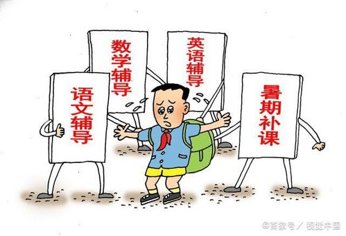 如今,孩子的兴趣班和补习班,正在掏空很多家庭,你怎么看呢