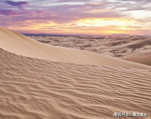 心理测试 你最想去的是哪一片沙漠 测你晚年是操劳命还是享福命