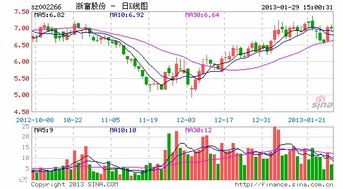 浙富股份股票什么时候分红