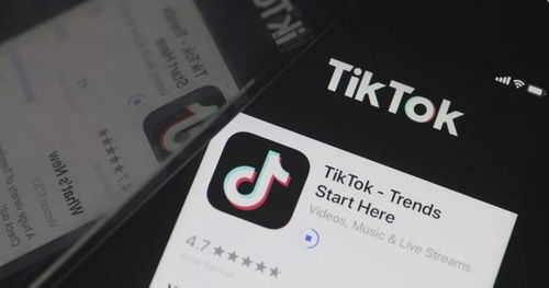 Tik Tok上的广告都有哪些类型_tiktok ads 开户