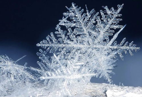 醒图雪花怎么p上去(醒图上怎么画花)