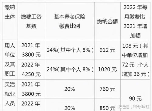 每年交养老保险费多少钱养老保险一年交多少钱