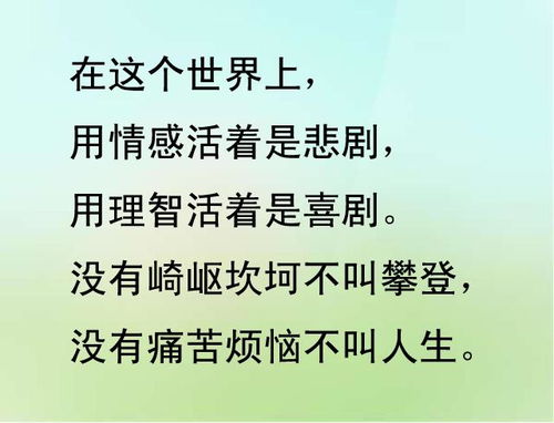 珍惜友谊的句子简短一句话