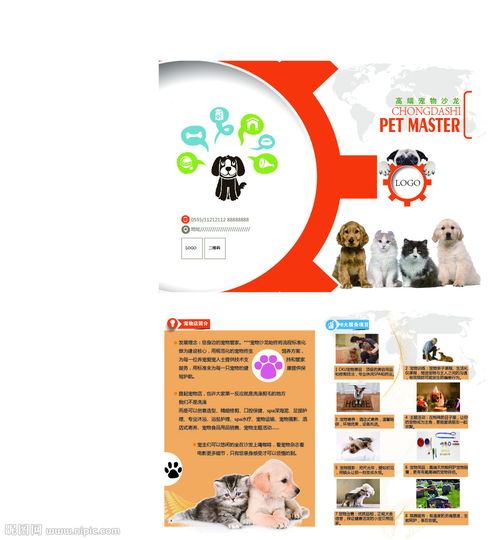 宠物店宣传单页手册图片 
