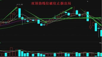 经传股票软件为什么说股价跌破止损线要卖？