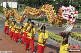 世界各地舞龙迎龙年 