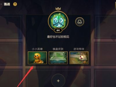 LOL小小英雄换不了bug LOL小小英雄无法更换解决办