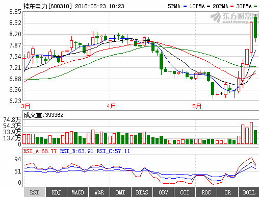 高手分析600310桂东电力，后市如何？