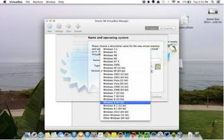 mac独立安装win10