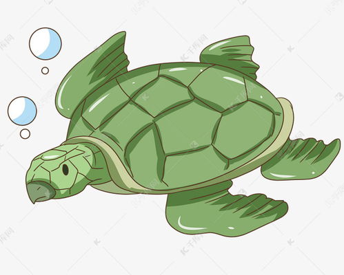 绿色海龟卡通插画素材图片免费下载 千库网 