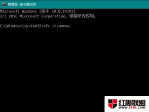 win10程序经常崩溃怎么办