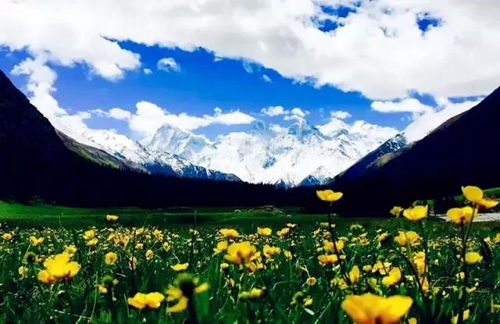 新疆旅游最佳时间 来一场说走就走的旅行