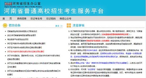 河南招生办公室查成绩(河南省普通高校招生考生服务平台怎么登录)