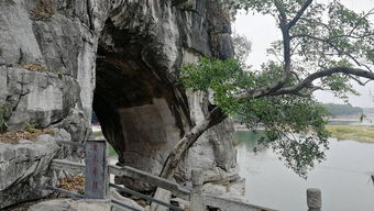 虽是城市标志，可又像鸡肋，桂林的象鼻山，值得进去一游吗