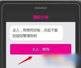 微软发布第二代小冰 信息阅读欣赏 信息村 K0w0m Com