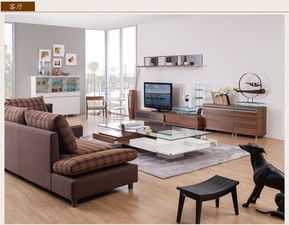 公司购买的沙发茶几电视柜可不可以计入管理费用-办公费