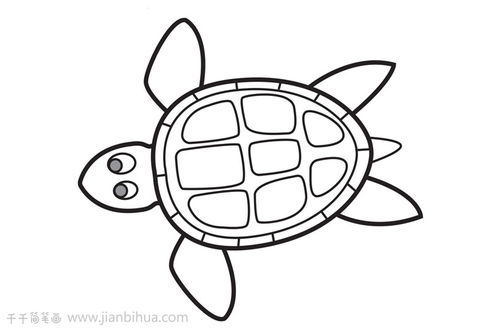 海龟简笔画怎么画 海洋动物简笔画 